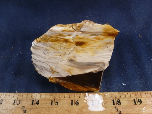 Css piece of petrified - lb,
